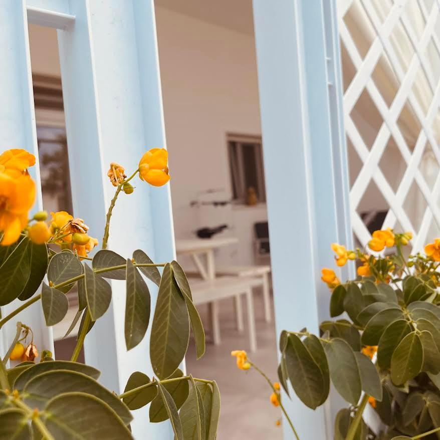 Bed and Breakfast U Ceccenate Montalbano  Exterior foto